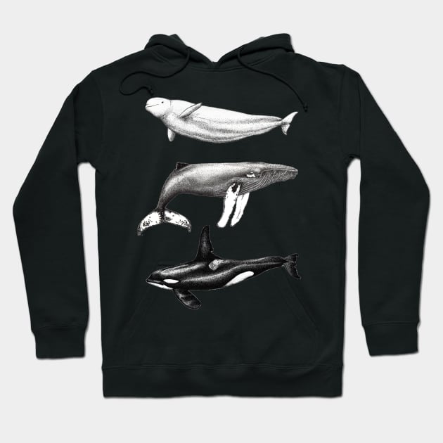 Beluga, orca and humpback whale ink Hoodie by chloeyzoard